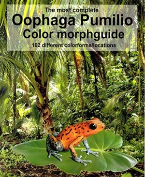 Pumilio morphguide